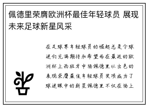 佩德里荣膺欧洲杯最佳年轻球员 展现未来足球新星风采